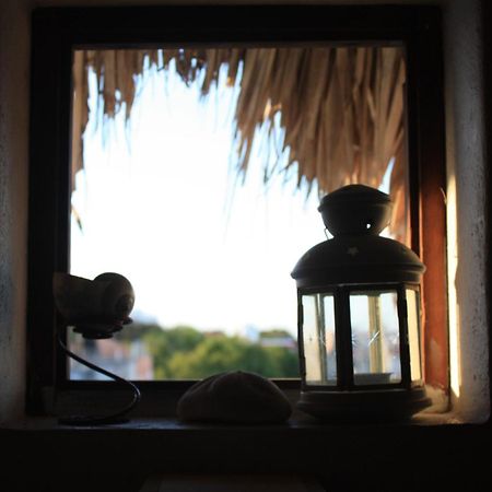 Amaranto Bed And Breakfast Cozumel Luaran gambar
