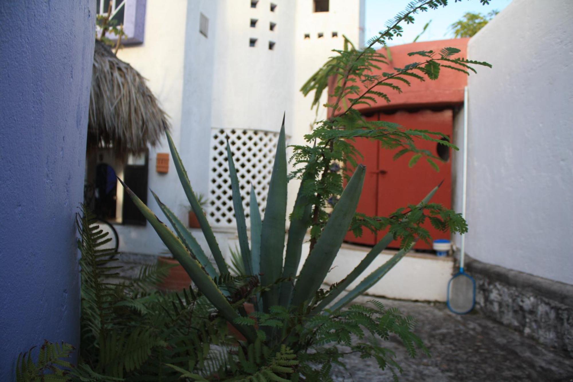 Amaranto Bed And Breakfast Cozumel Luaran gambar