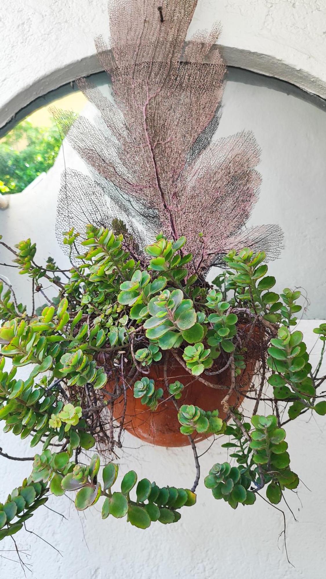 Amaranto Bed And Breakfast Cozumel Luaran gambar