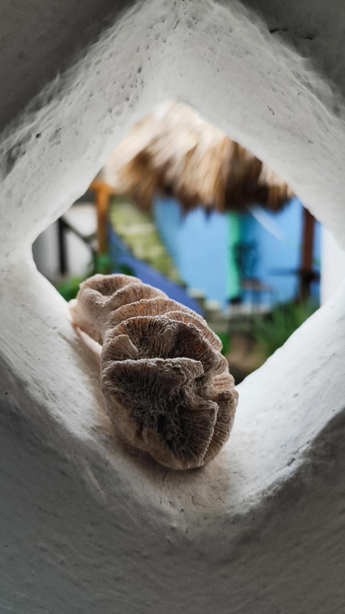 Amaranto Bed And Breakfast Cozumel Luaran gambar