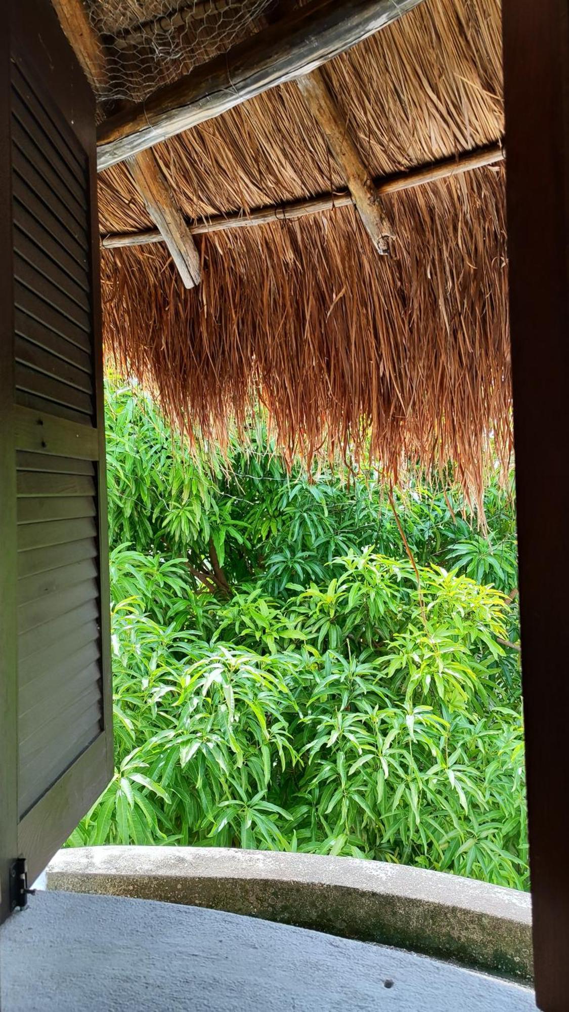 Amaranto Bed And Breakfast Cozumel Luaran gambar
