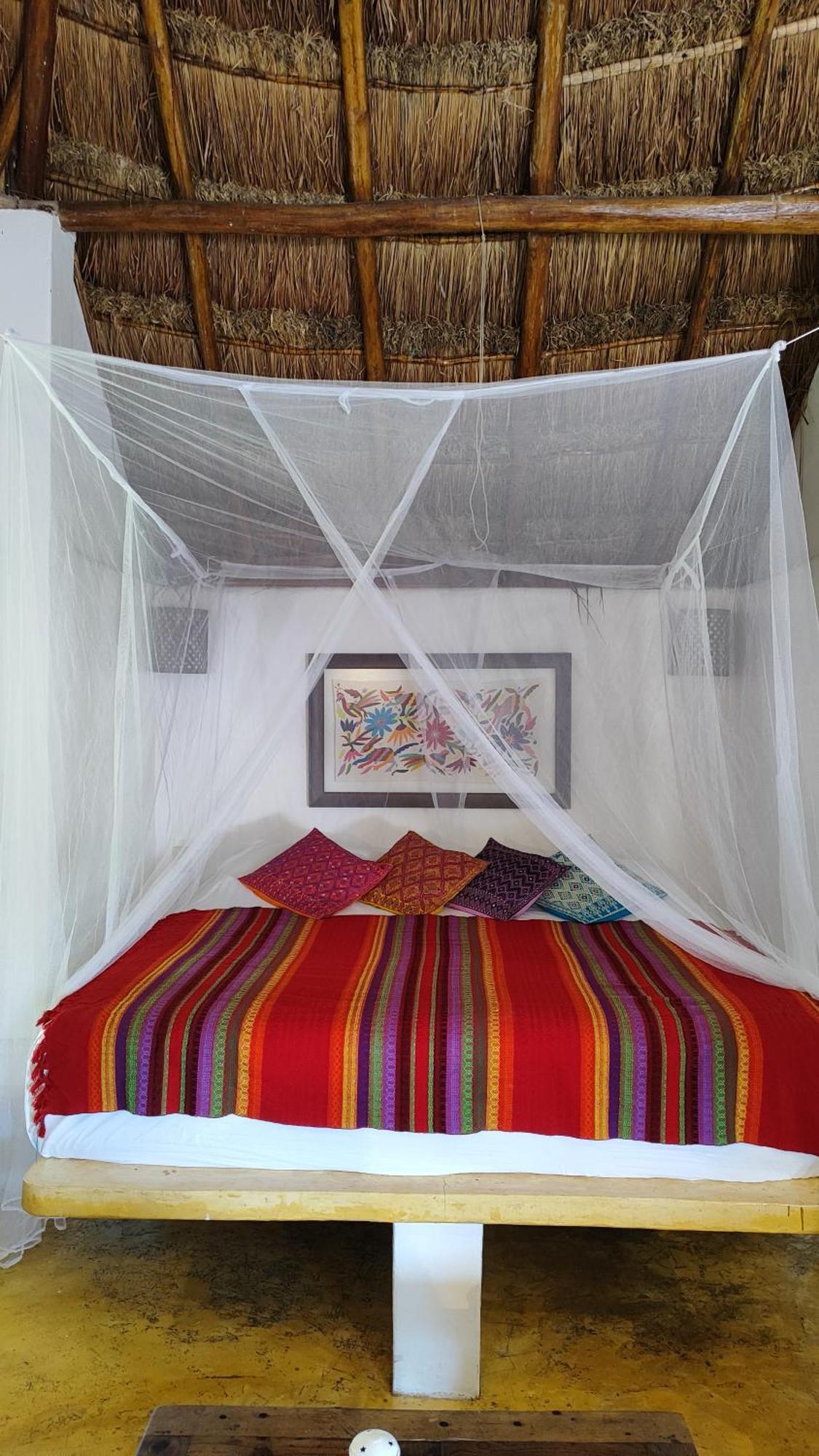 Amaranto Bed And Breakfast Cozumel Luaran gambar